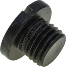 Пробка редуктора Suzuki DF150-300, D10 мм, масло 5512893J10000