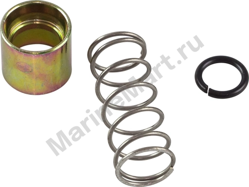 Пружина, втулка шестерни стартера Yamaha 100-225/F40-F60, Omax 6N78185700_OM