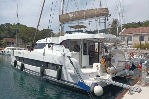 Bali 40 Catspace