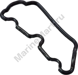 Уплотнение крышки Suzuki DF200-300 5115293J00000