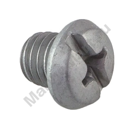 Пробка редуктора Suzuki DT9.9-15/DF8A-30A, D8 мм, масло 0924808001000