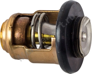 Термостат TAMA 50C TAMAWM27YC