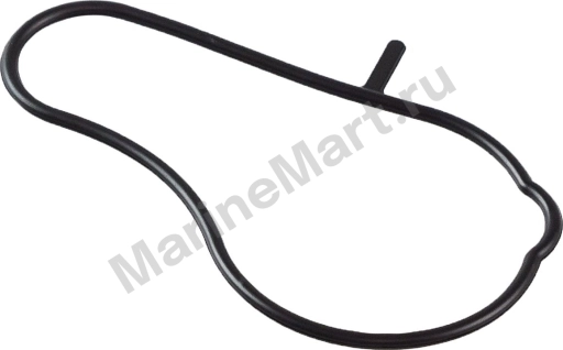 Уплотнение масляного насоса Suzuki DF4A-6A 1616597L00000
