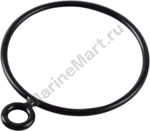 Уплотнение впуска Yamaha 40-50/60-70, Omax 6H41419801_OM