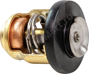 Термостат Yamaha 8-9.9, Omax 6G81241101_OM