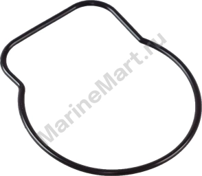 Уплотнение корпуса помпы Suzuki DF40A-60A/DF25V (2 цилиндра), Recmar 1741695J00_RM