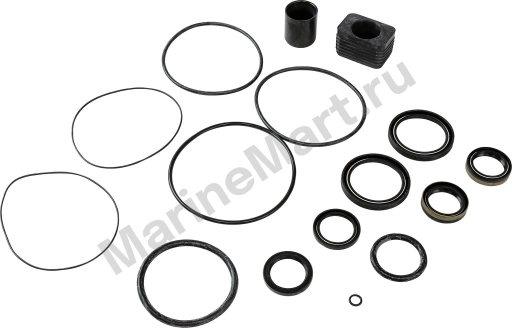 Ремкомплект редуктора Volvo Penta  DP-CS, S1, SM, Recmar 3856002_RM