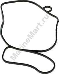Уплотнение Volvo Penta, Recmar 3889788_RM