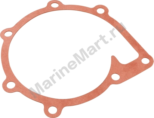 Прокладка помпы Volvo Penta, Recmar 859027_RM