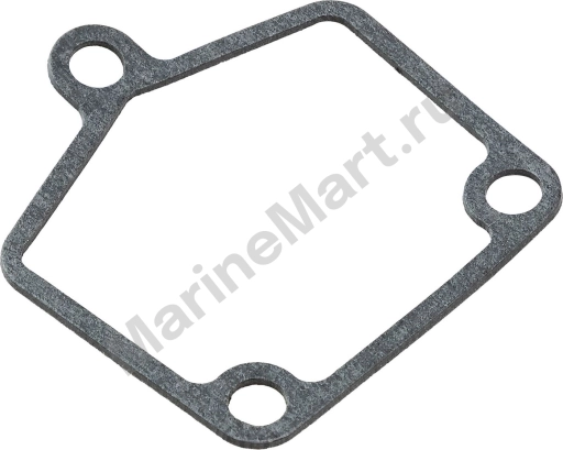 Прокладка Volvo Penta D40, Recmar 842645_RM