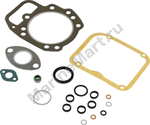Ремкомплект мотора Volvo Penta MD5, Recmar 875561_RM