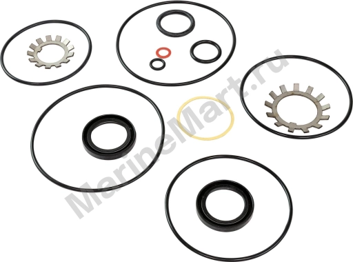 Комплект прокладок Volvo Penta AQ200-290, Recmar 876268_RM