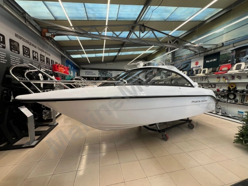 Катер Феникс 600 HT белый P600HTW_z