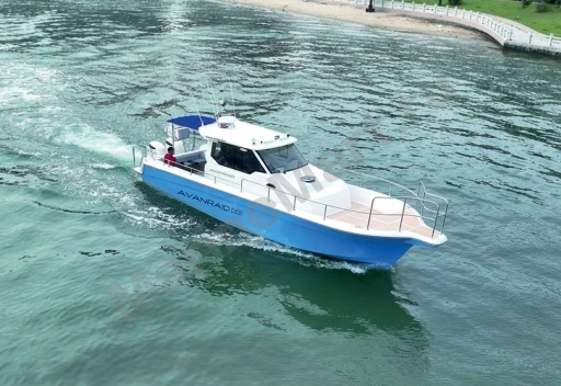 Катер AVANRAID F410 BigFish