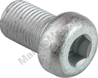 Пробка картера Suzuki DF8-300, 12х18, сливная, масло 0924812009000