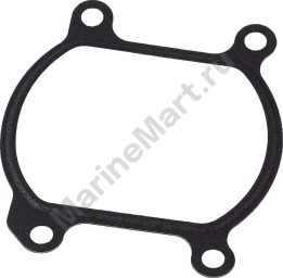 Прокладка под крышку головки Suzuki DF2.5 1118997JL0000