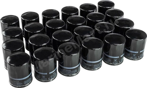 Фильтр масляный Suzuki DF150-300A, УПАК 24 шт. 1651096j00 1651096802B24