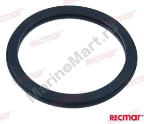 Прокладка термостата Volvo Penta, Recmar 416033_RM